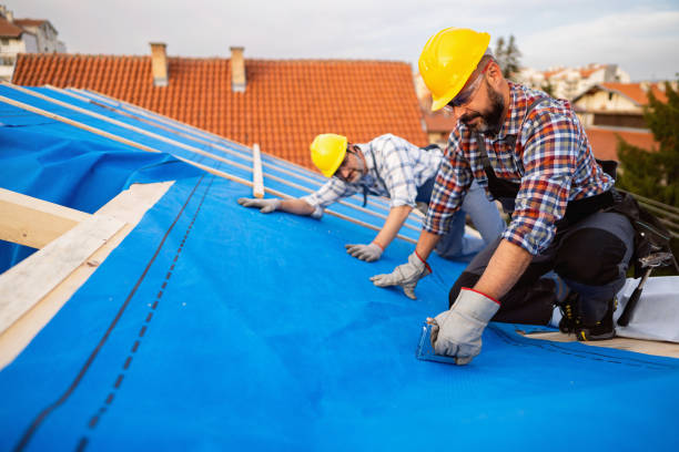 Best Roof Moss and Algae Removal  in Flying Hills, PA
